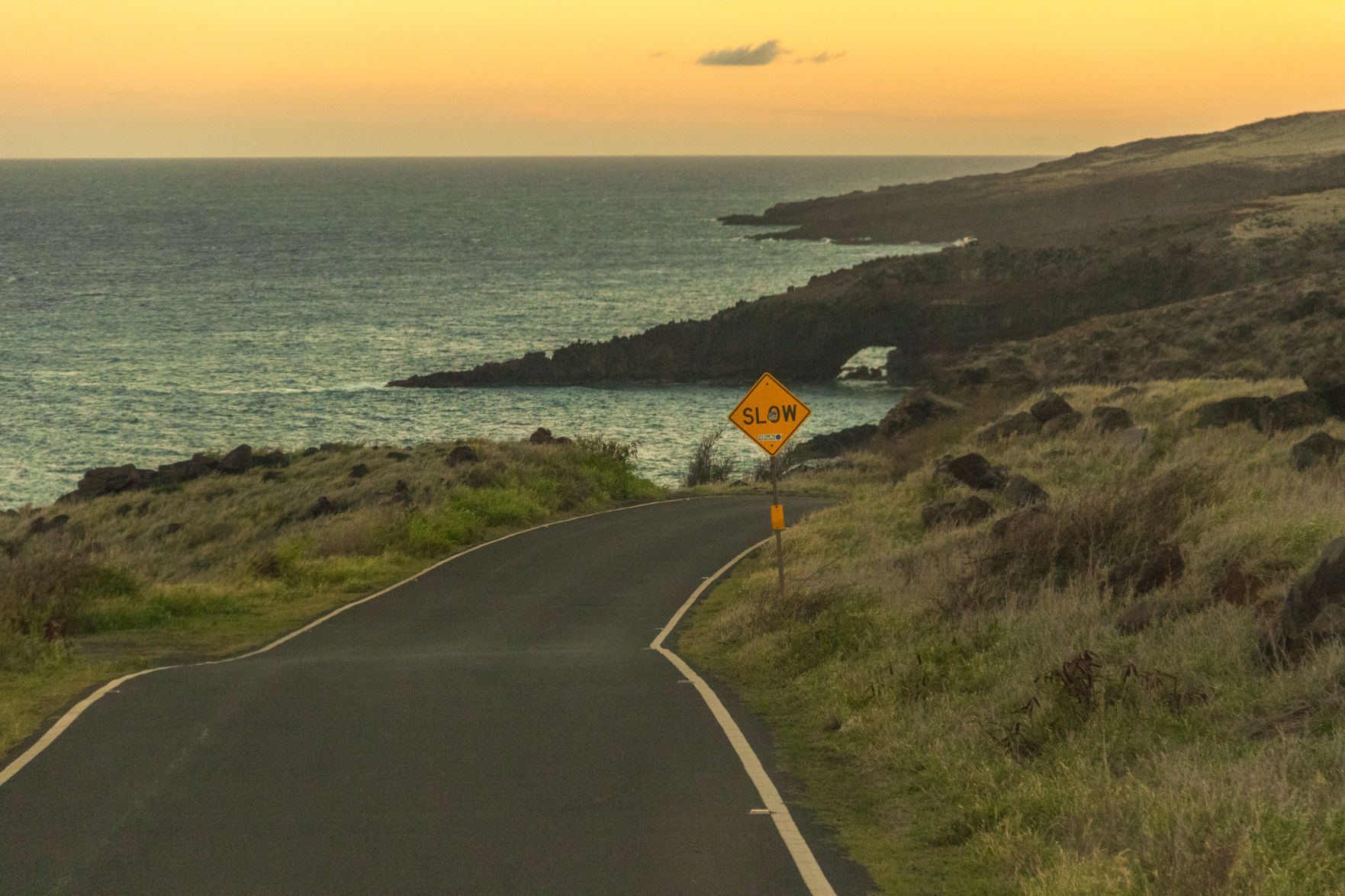 The Drunk Highway 4